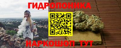 дурь Тара