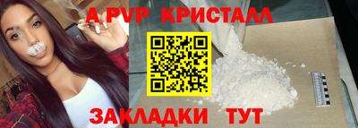 шишки Тверь